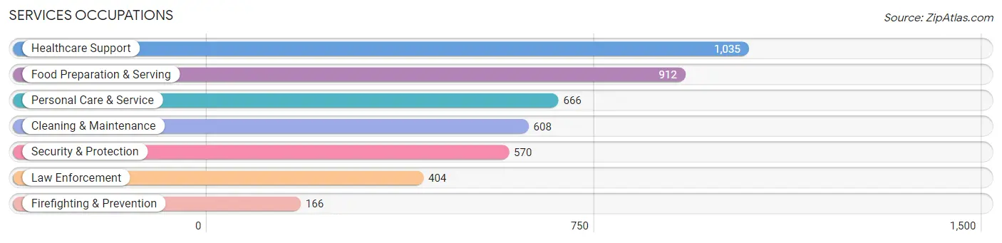 Services Occupations in Zip Code 10009