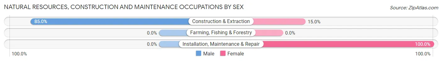 Natural Resources, Construction and Maintenance Occupations by Sex in Zip Code 10022