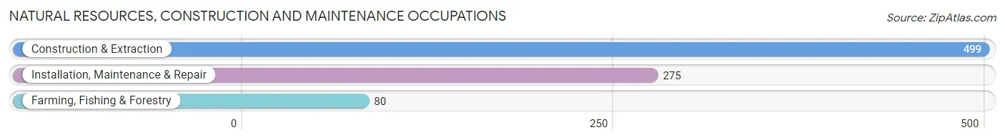 Natural Resources, Construction and Maintenance Occupations in Zip Code 10030