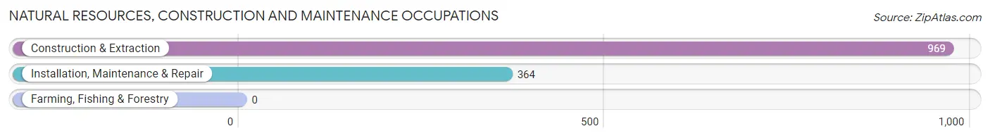 Natural Resources, Construction and Maintenance Occupations in Zip Code 10308