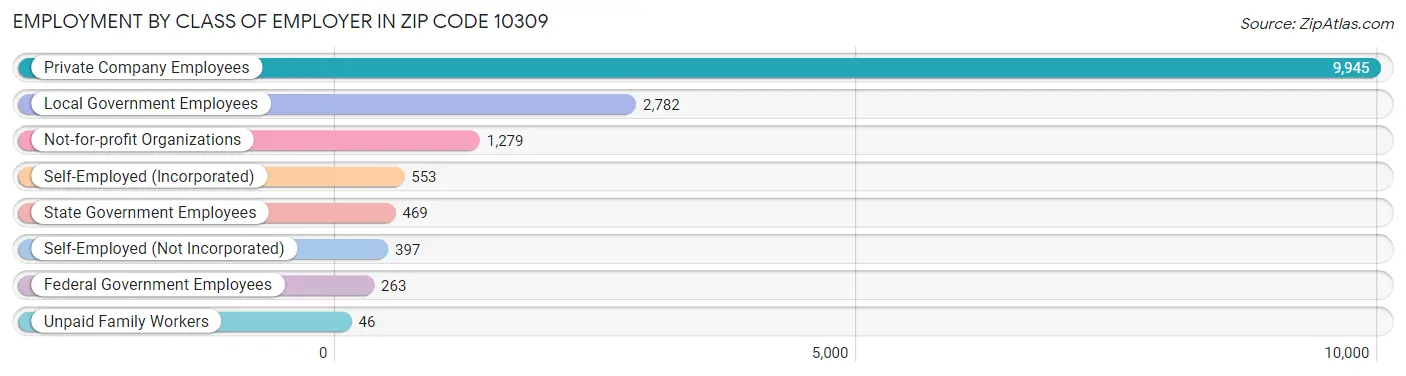 Employment by Class of Employer in Zip Code 10309