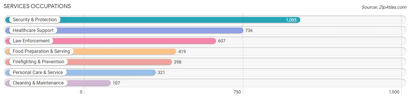 Services Occupations in Zip Code 10309