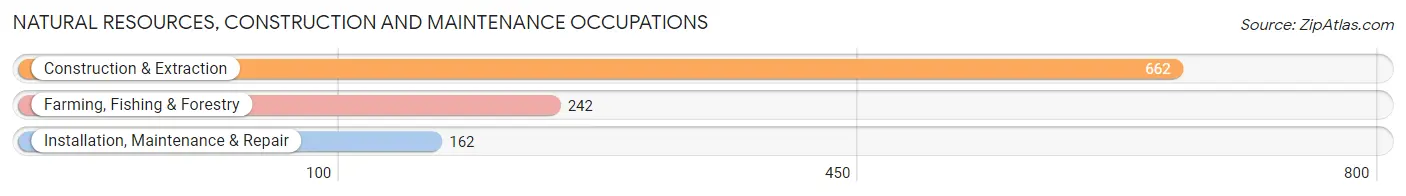 Natural Resources, Construction and Maintenance Occupations in Zip Code 10475