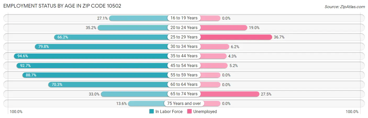 Employment Status by Age in Zip Code 10502