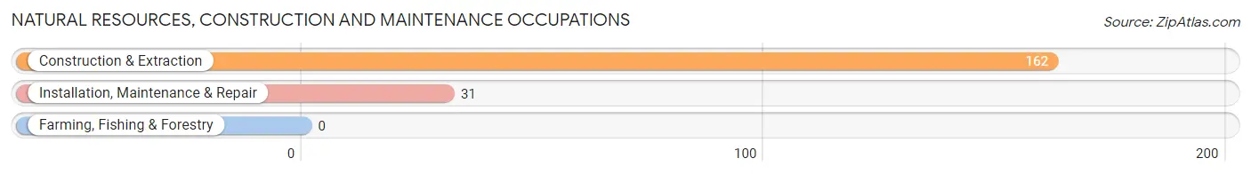 Natural Resources, Construction and Maintenance Occupations in Zip Code 10510