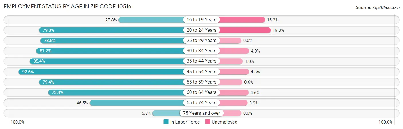 Employment Status by Age in Zip Code 10516