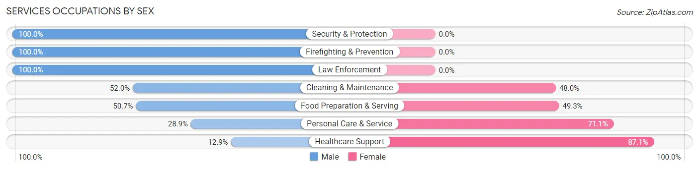 Services Occupations by Sex in Zip Code 10516