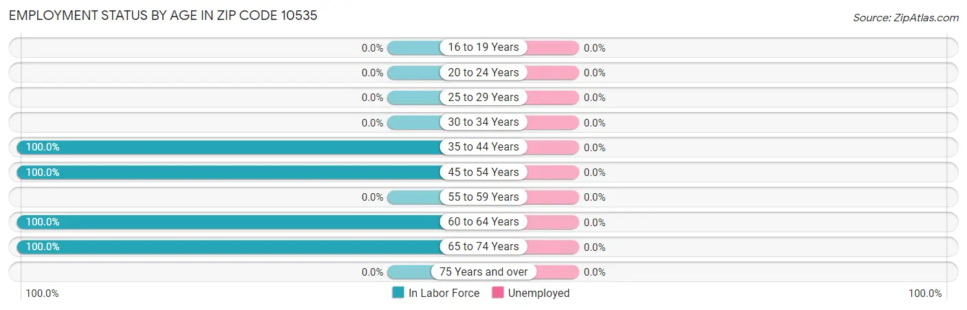 Employment Status by Age in Zip Code 10535
