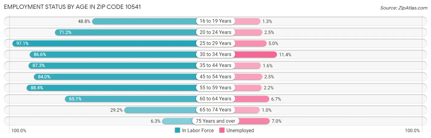 Employment Status by Age in Zip Code 10541