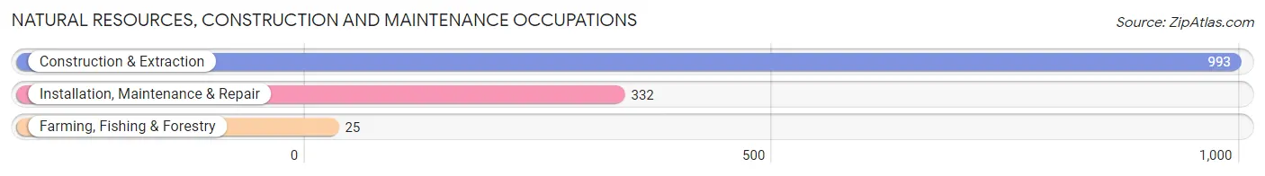 Natural Resources, Construction and Maintenance Occupations in Zip Code 10541