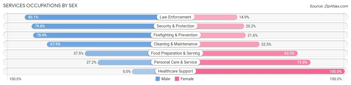 Services Occupations by Sex in Zip Code 10543