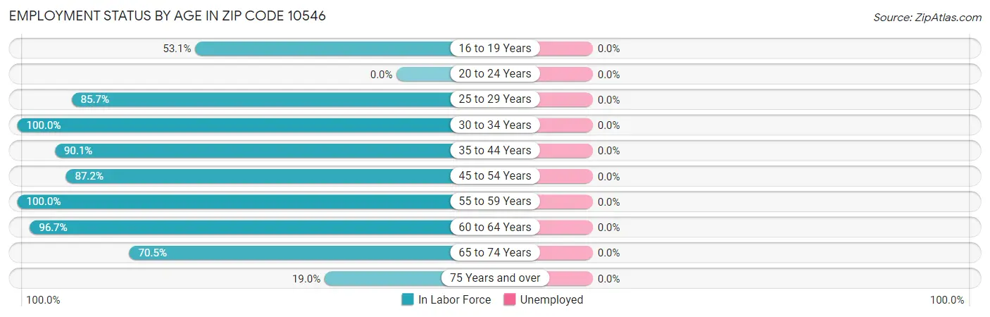 Employment Status by Age in Zip Code 10546