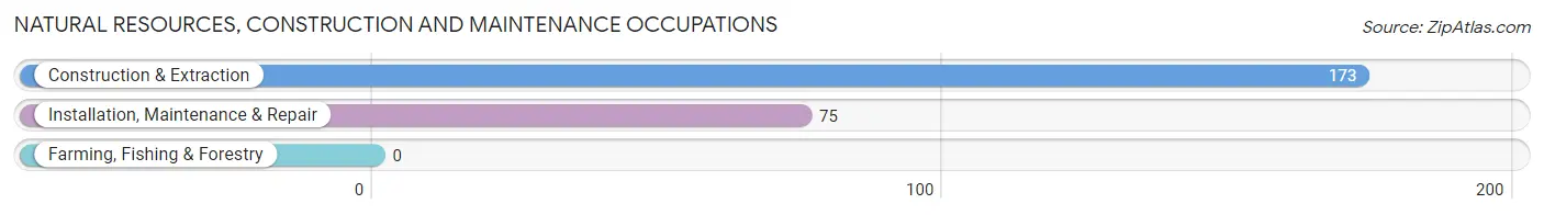 Natural Resources, Construction and Maintenance Occupations in Zip Code 10553