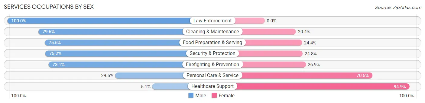 Services Occupations by Sex in Zip Code 10570