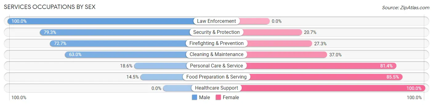 Services Occupations by Sex in Zip Code 10576