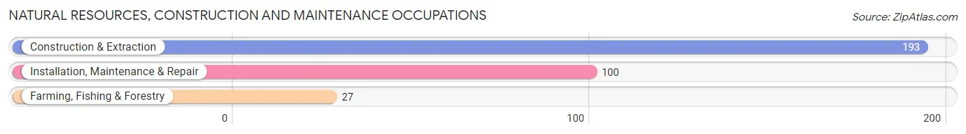 Natural Resources, Construction and Maintenance Occupations in Zip Code 10583