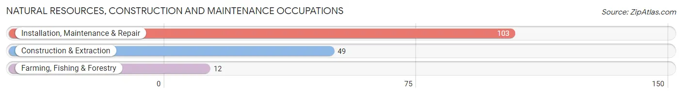 Natural Resources, Construction and Maintenance Occupations in Zip Code 10601