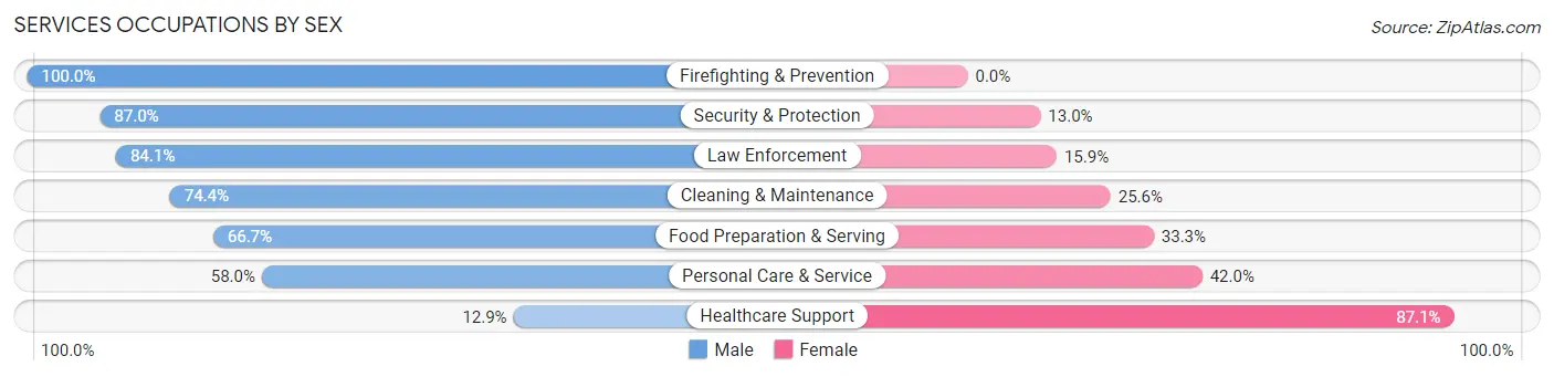 Services Occupations by Sex in Zip Code 10607