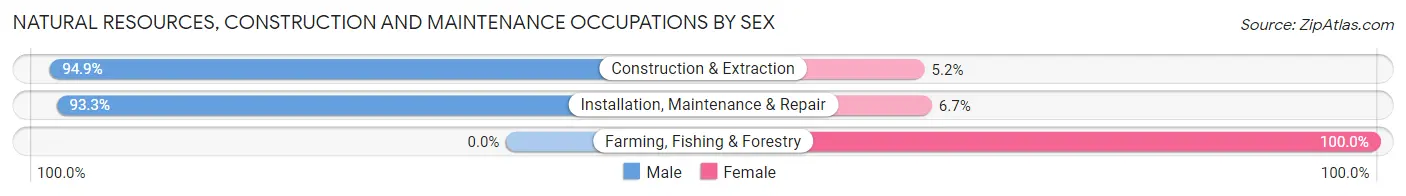 Natural Resources, Construction and Maintenance Occupations by Sex in Zip Code 10701
