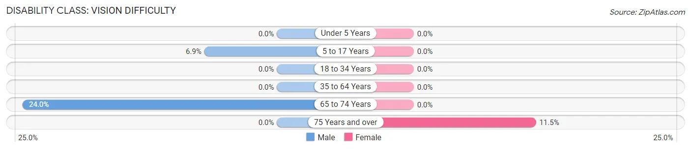 Disability in Zip Code 10931: <span>Vision Difficulty</span>