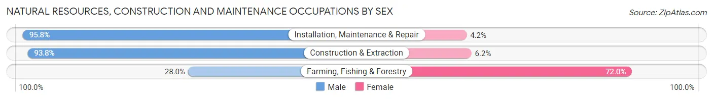 Natural Resources, Construction and Maintenance Occupations by Sex in Zip Code 10940