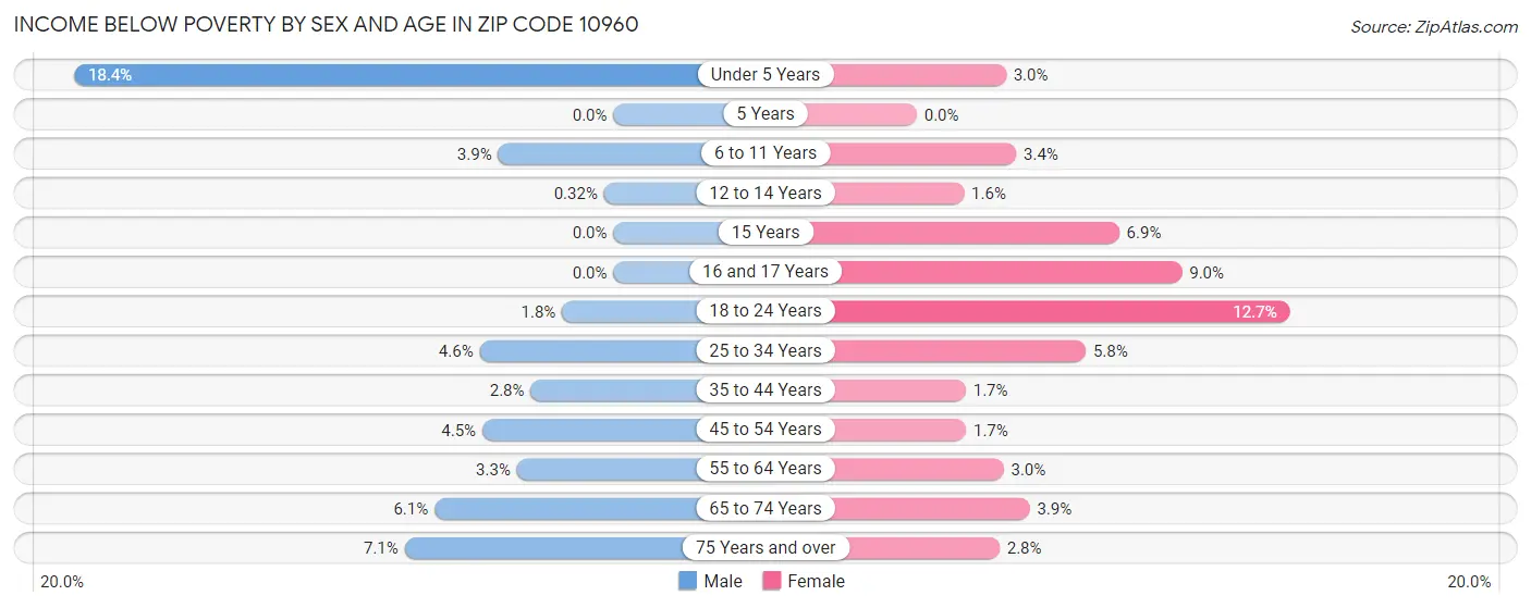 Income Below Poverty by Sex and Age in Zip Code 10960