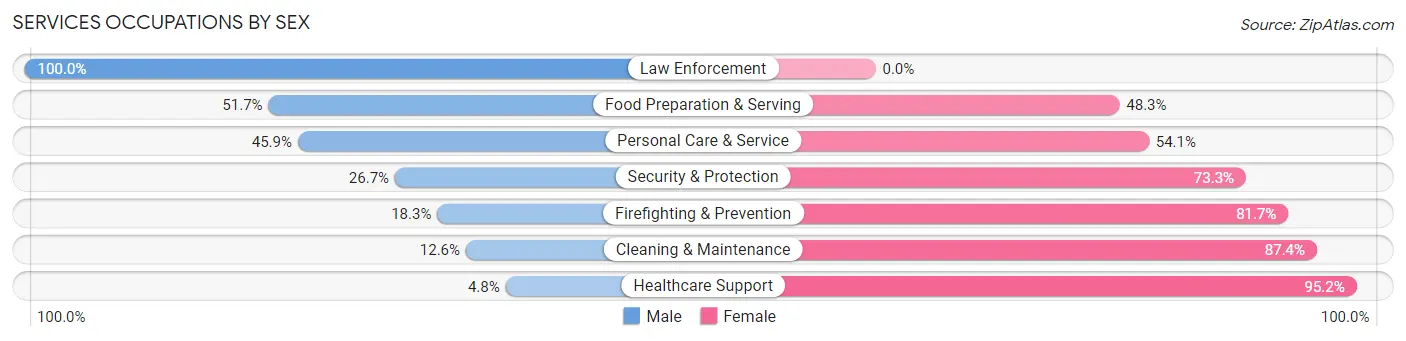 Services Occupations by Sex in Zip Code 10960