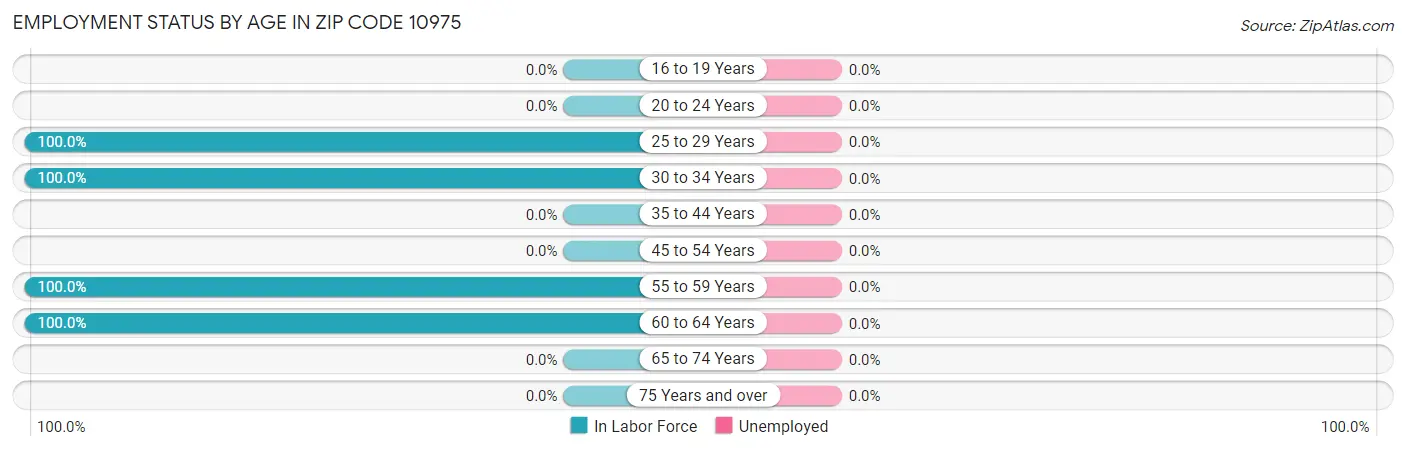 Employment Status by Age in Zip Code 10975