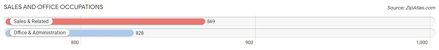 Sales and Office Occupations in Zip Code 10980