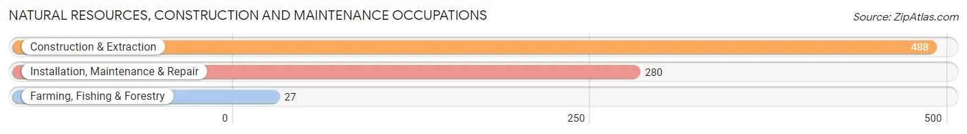 Natural Resources, Construction and Maintenance Occupations in Zip Code 10990