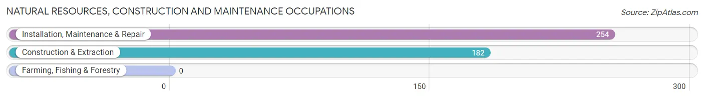 Natural Resources, Construction and Maintenance Occupations in Zip Code 10992