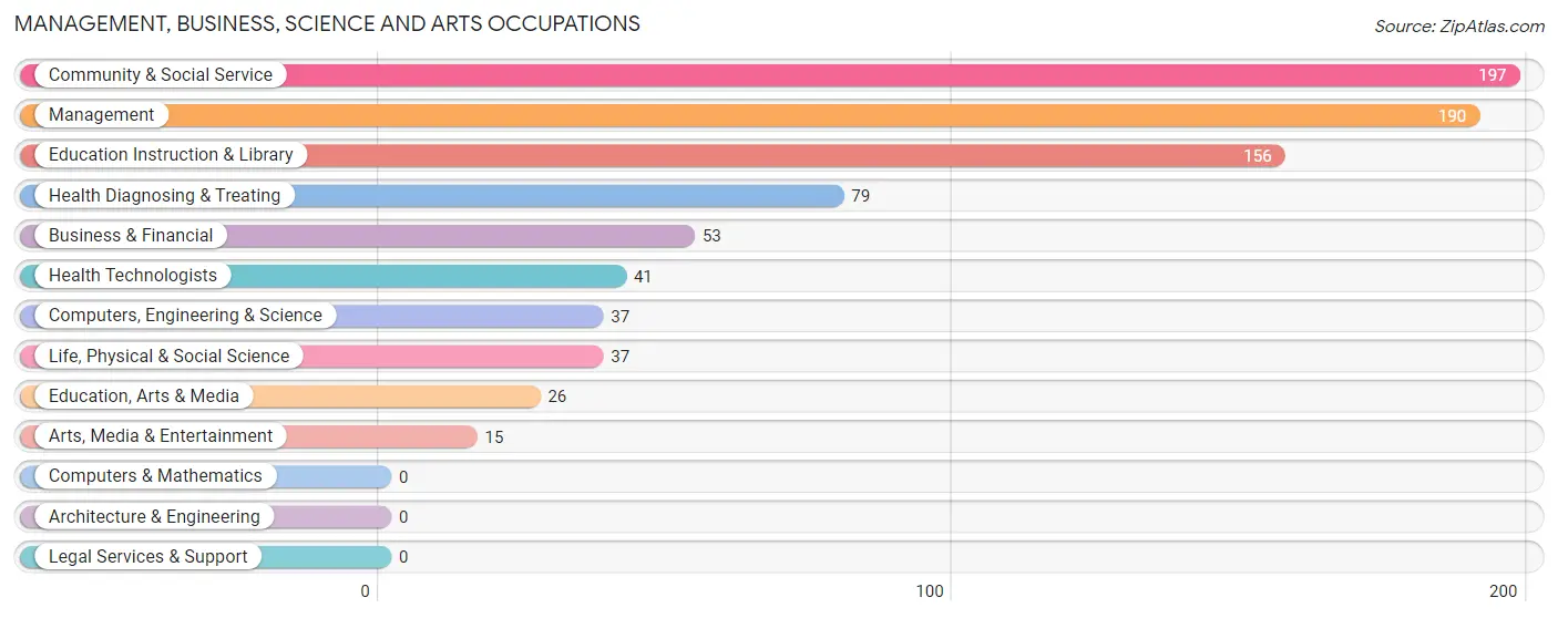 Management, Business, Science and Arts Occupations in Zip Code 10993