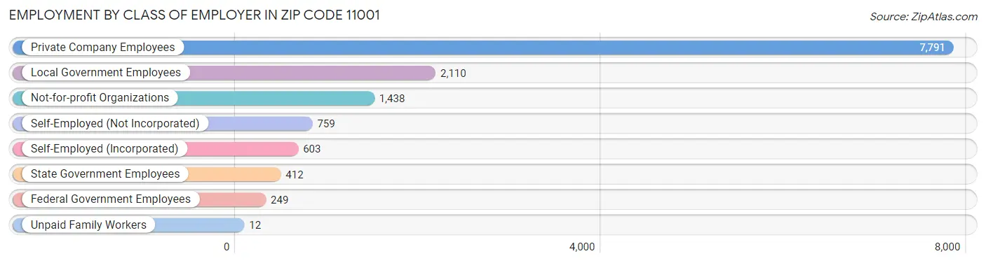 Employment by Class of Employer in Zip Code 11001