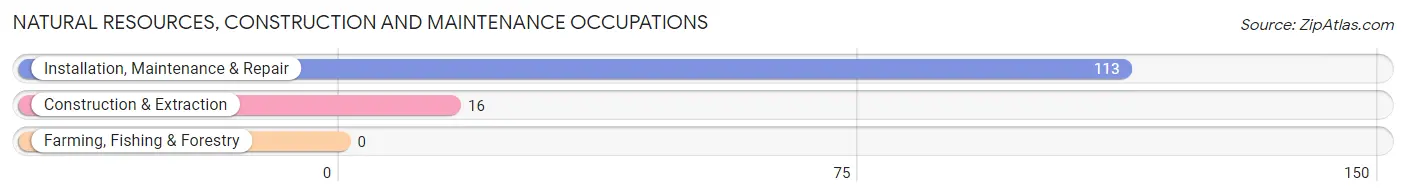 Natural Resources, Construction and Maintenance Occupations in Zip Code 11023