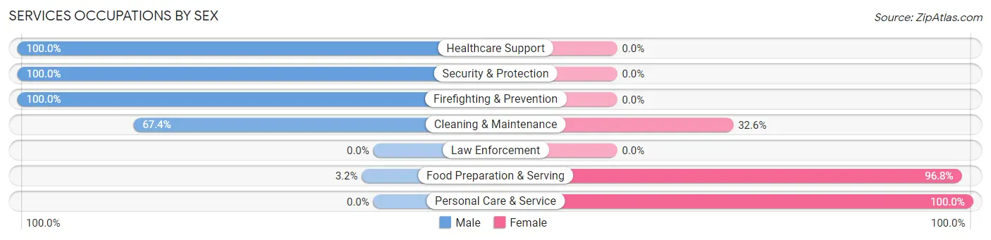 Services Occupations by Sex in Zip Code 11023