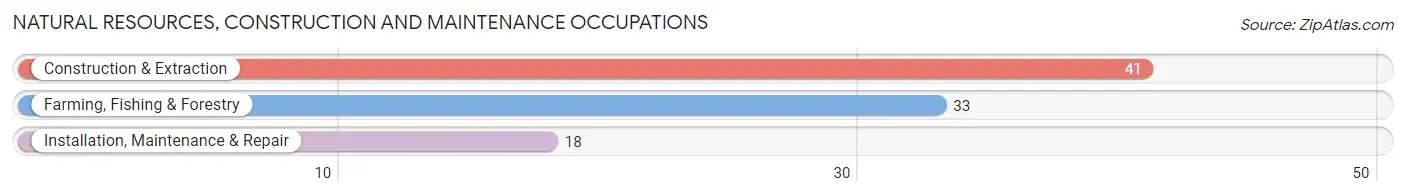 Natural Resources, Construction and Maintenance Occupations in Zip Code 11030