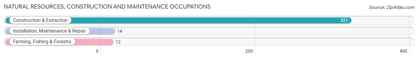 Natural Resources, Construction and Maintenance Occupations in Zip Code 11096