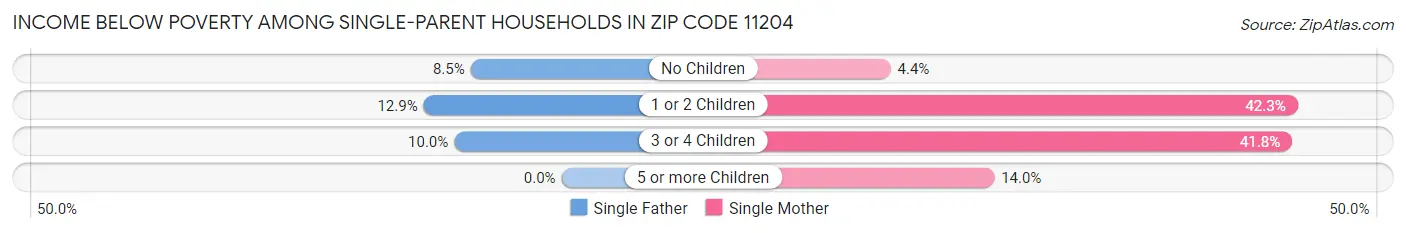 Income Below Poverty Among Single-Parent Households in Zip Code 11204