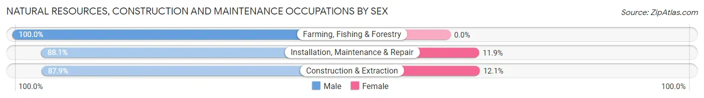 Natural Resources, Construction and Maintenance Occupations by Sex in Zip Code 11206