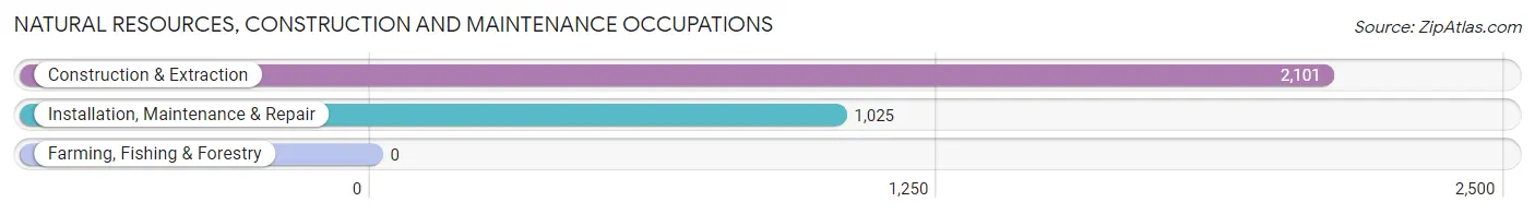 Natural Resources, Construction and Maintenance Occupations in Zip Code 11208