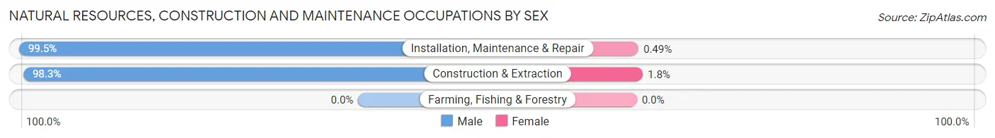 Natural Resources, Construction and Maintenance Occupations by Sex in Zip Code 11209
