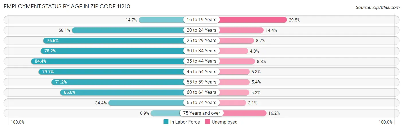 Employment Status by Age in Zip Code 11210