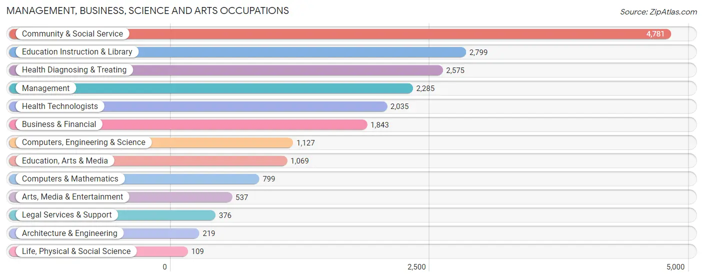 Management, Business, Science and Arts Occupations in Zip Code 11210