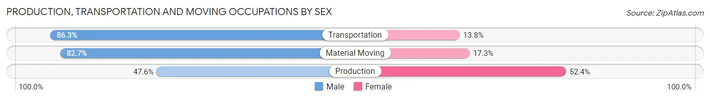Production, Transportation and Moving Occupations by Sex in Zip Code 11221