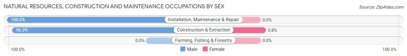 Natural Resources, Construction and Maintenance Occupations by Sex in Zip Code 11222