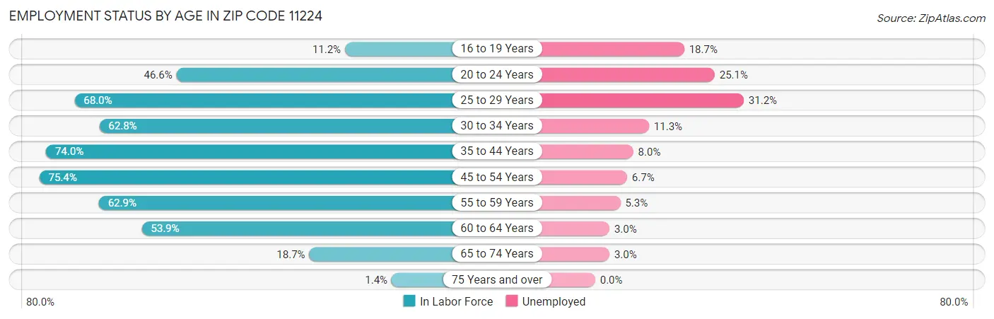 Employment Status by Age in Zip Code 11224