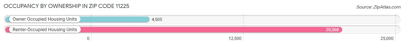 Occupancy by Ownership in Zip Code 11225