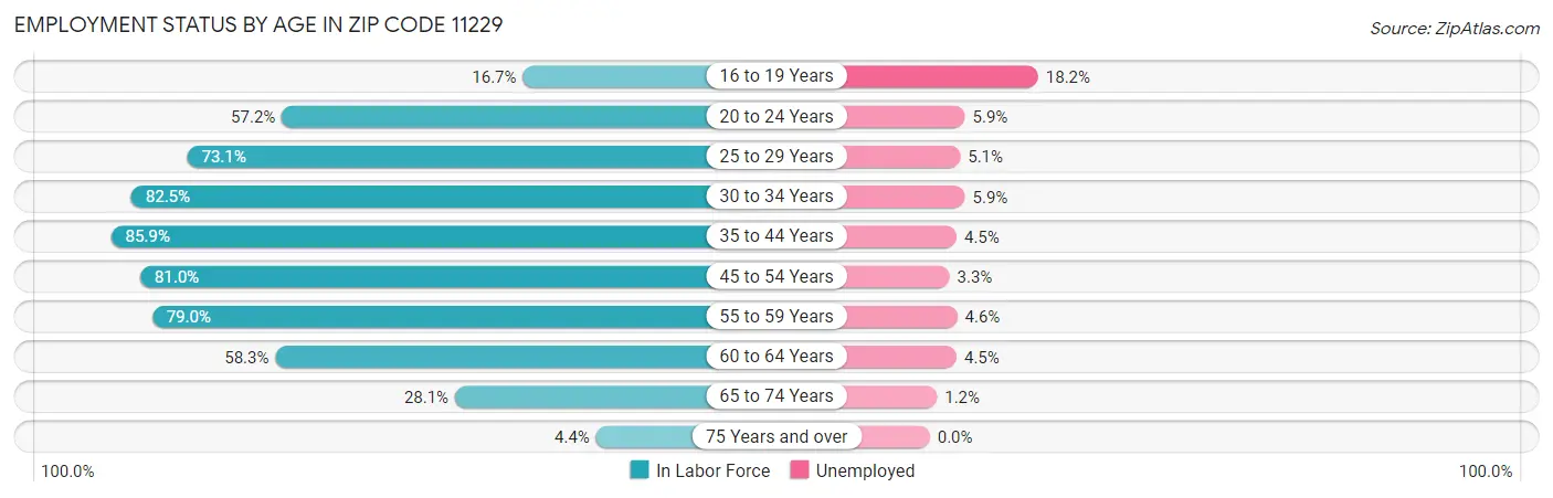 Employment Status by Age in Zip Code 11229