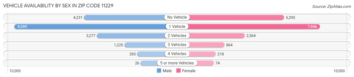Vehicle Availability by Sex in Zip Code 11229