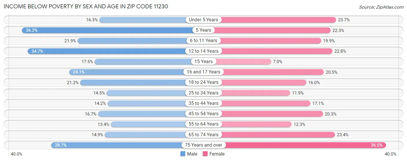 Income Below Poverty by Sex and Age in Zip Code 11230